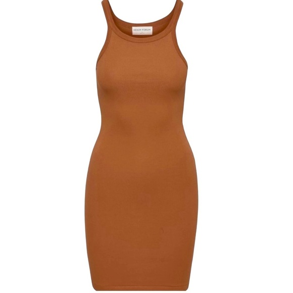 Aritzia Dresses & Skirts - Aritzia Denim Forum The Jane Tank Ribbed Stretch Bodycon Dress Terracota Small